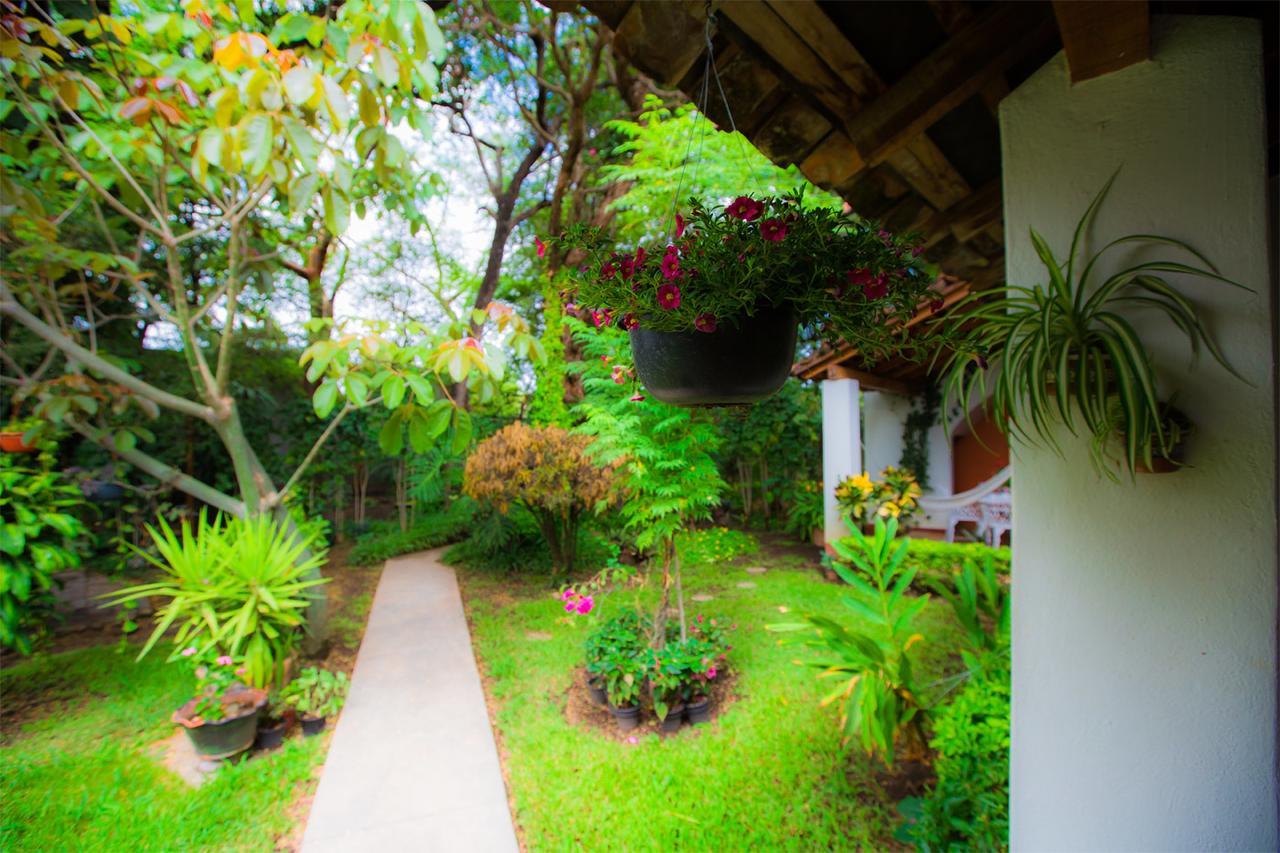 Hostal La Parroquia En Comala Zewnętrze zdjęcie